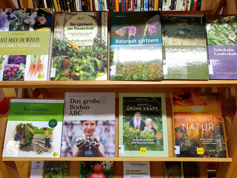 Bibliothek der Zeit